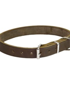 earthbound whippet collar