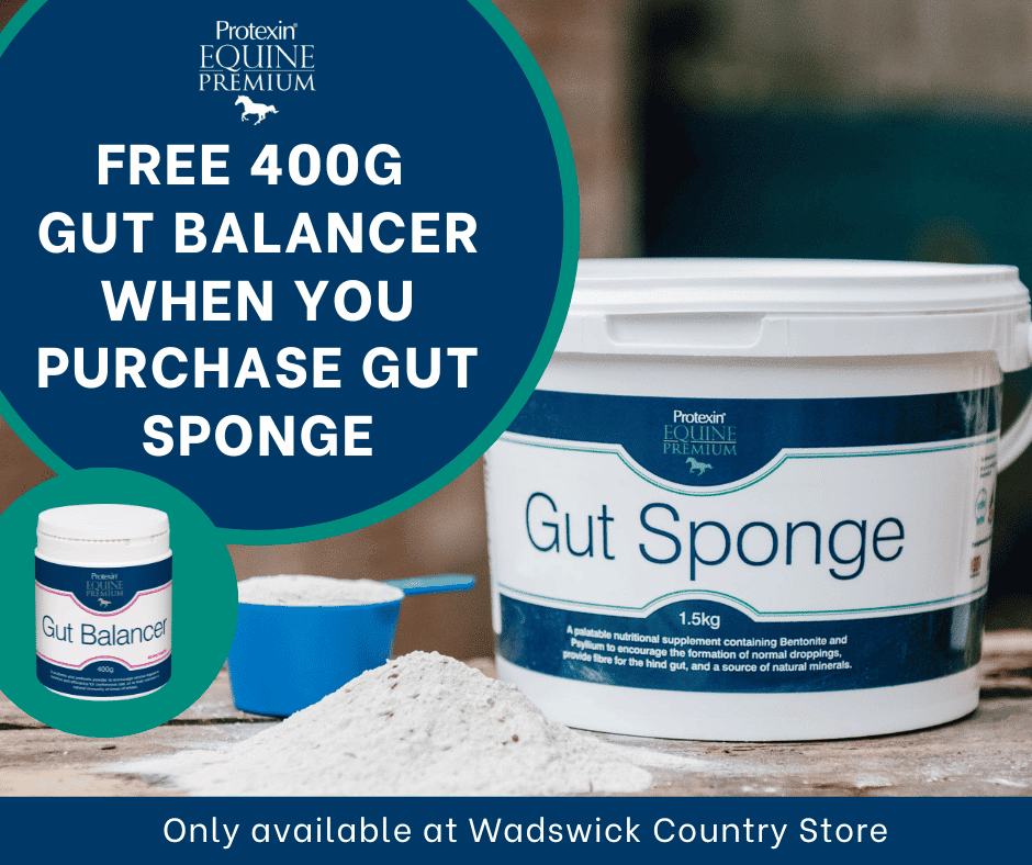 Protexin Equine Gut Sponge Supplement 1.5kg Wadswick Country Store Ltd