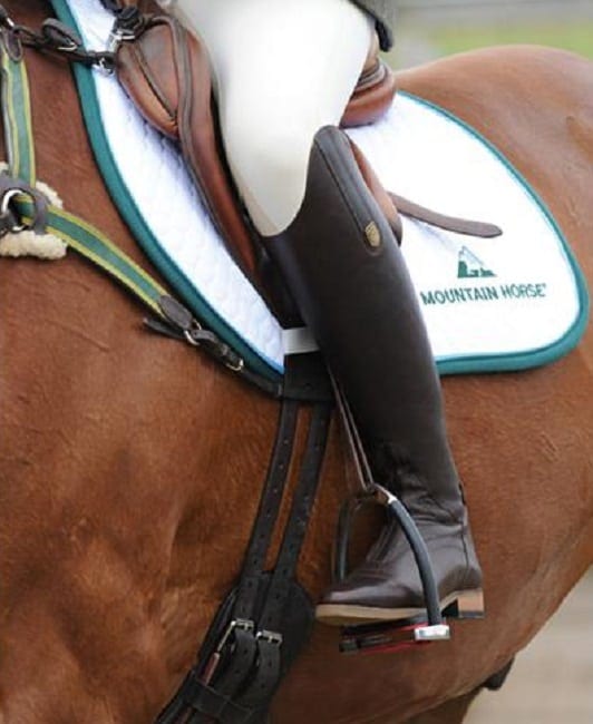 mountain horse superior high rider