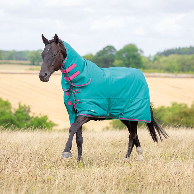 Shires Tempest 100g Combo Turnout Rug Green Wadswick