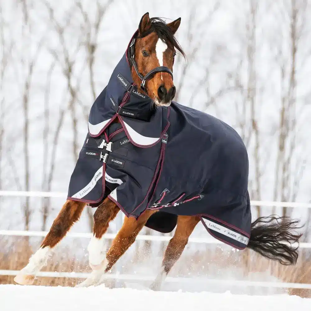 LeMieux Kudos Turnout Rug 200g Navy