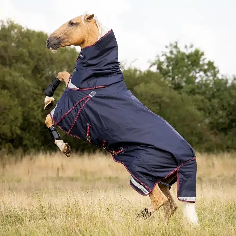 LeMieux Kudos Turnout Rug 50g Navy