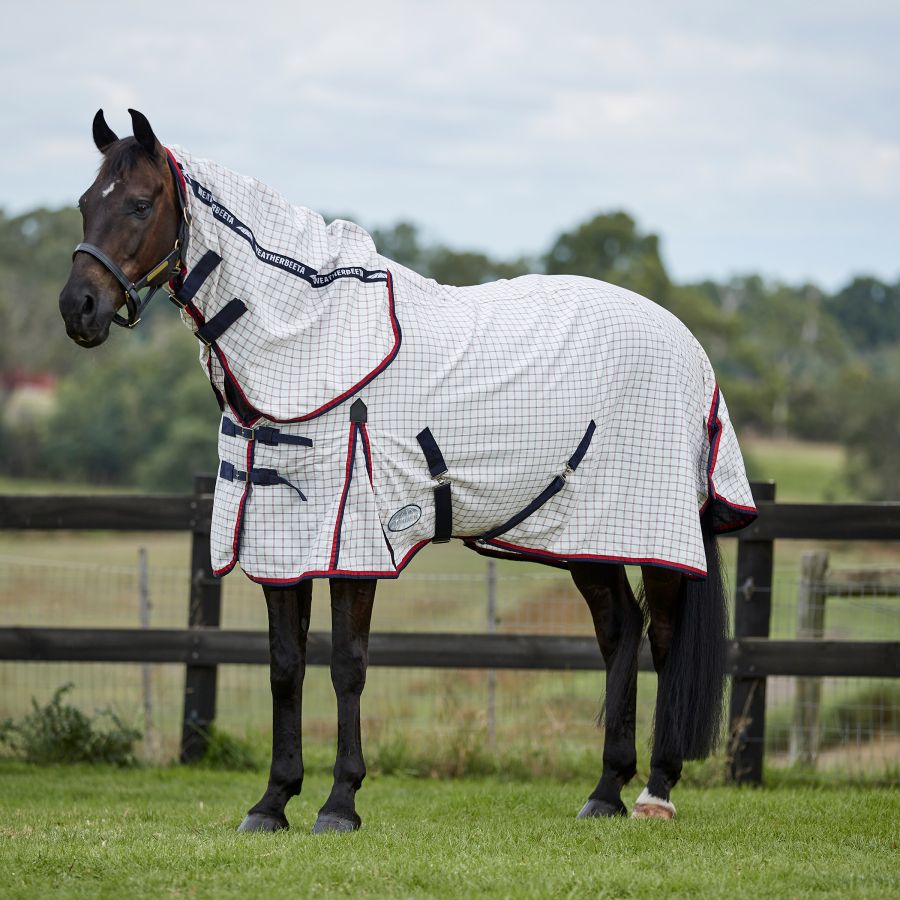 WeatherBeeta Summer Sheet Lite Combo IV Rug Wadswick