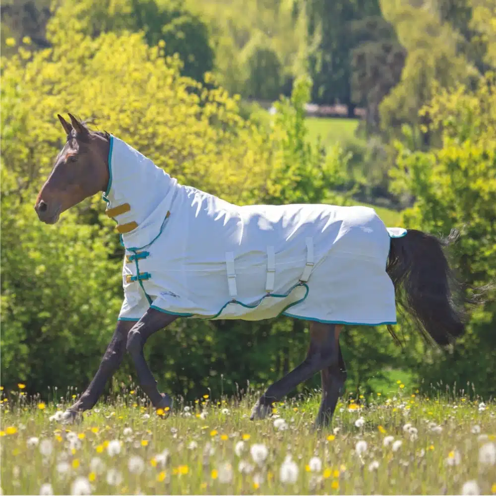 Shires Tempest Plus Sweet-itch Combo Rug