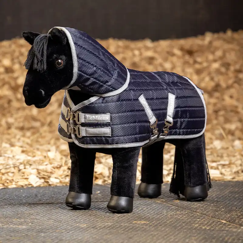 Toy sales pony set