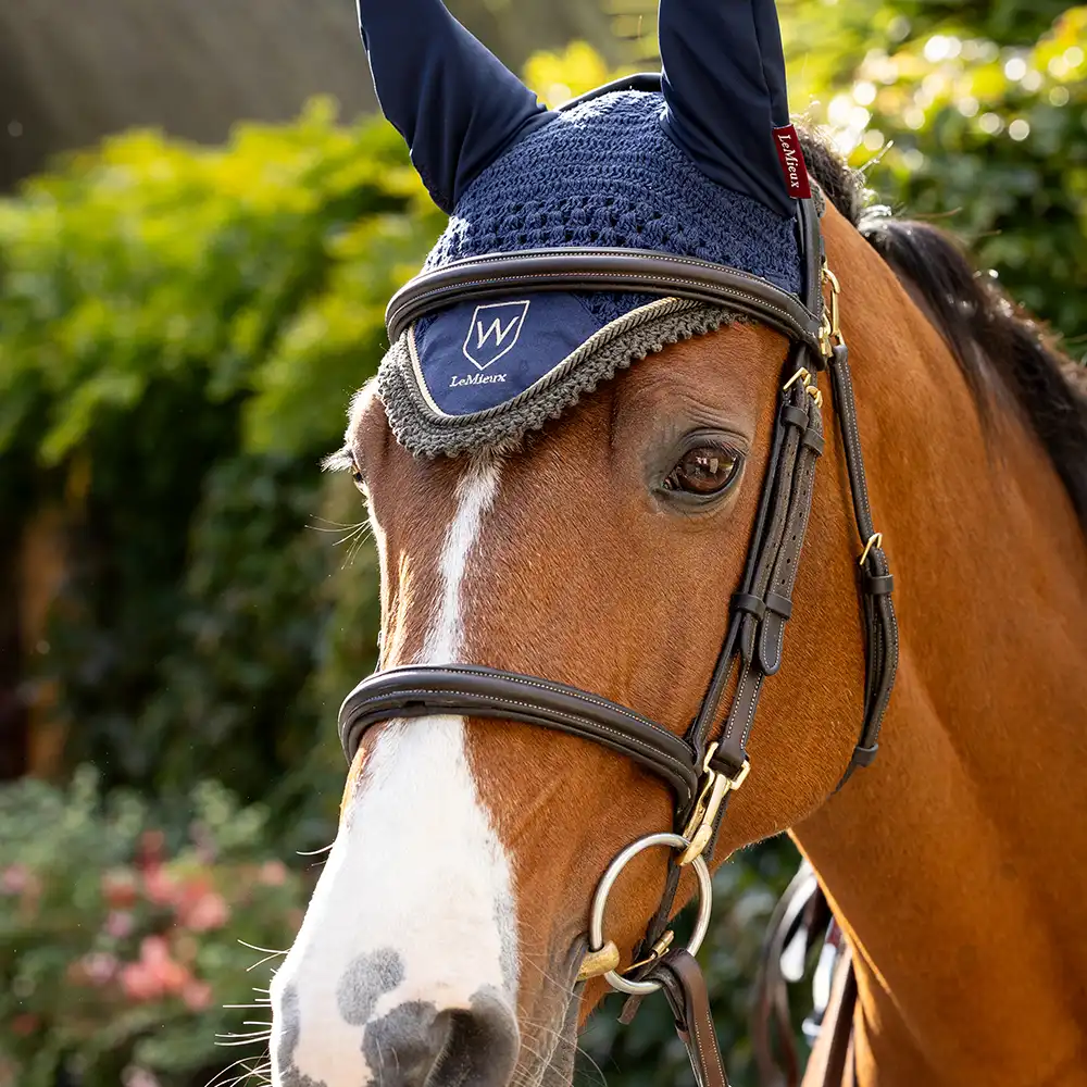 Wadswick and LeMieux Collection Horse with Fly Hood
