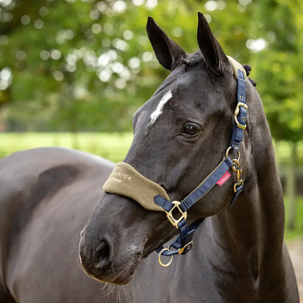 Wadswick X LeMieux Vogue Fleece Headcollar & Leadrope