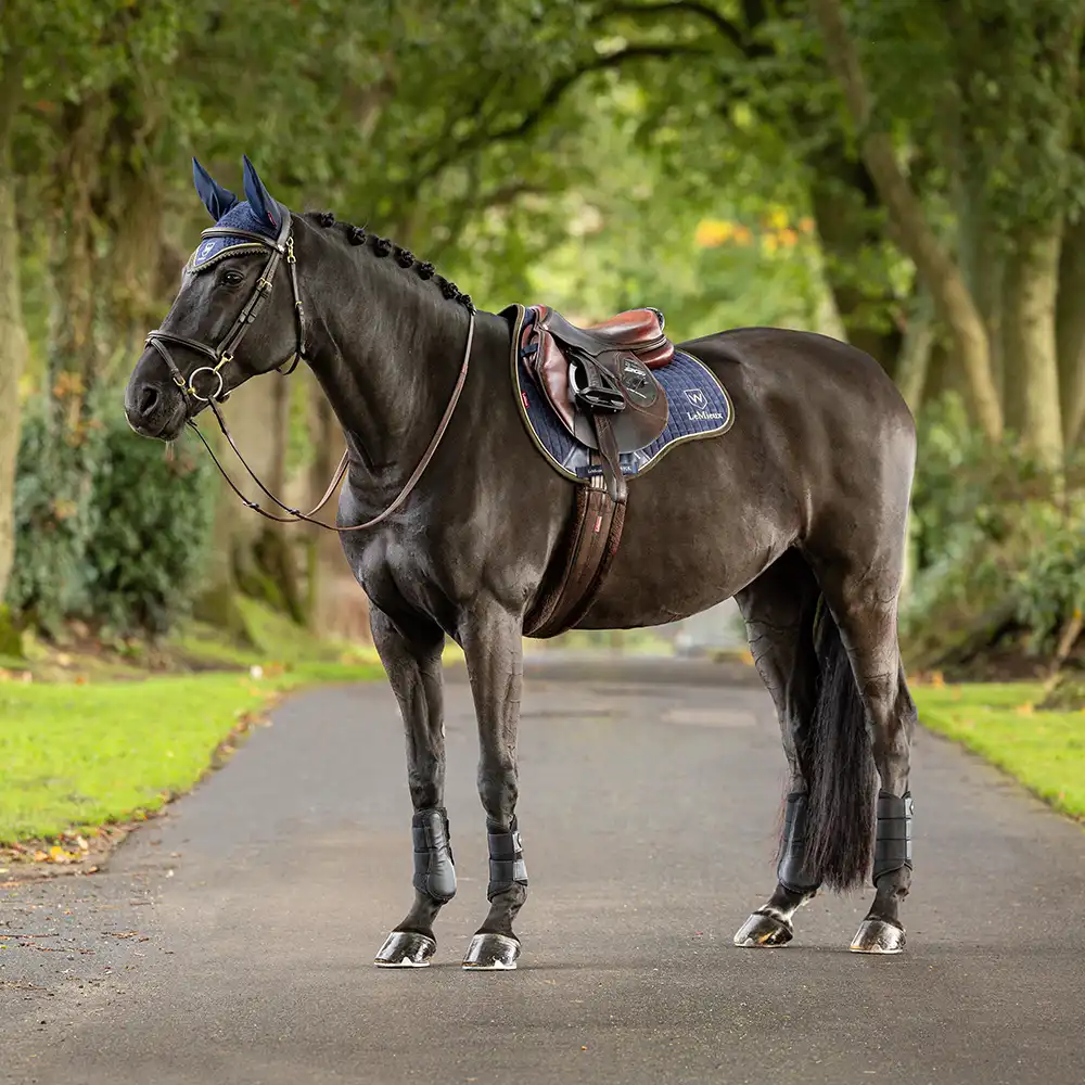 Wadswick and LeMieux Collection, Dark Bay Horse