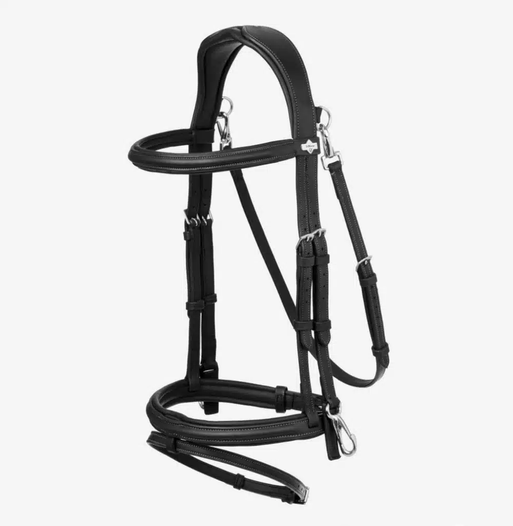 LeMieux Kudos Work Flash Bridle Black
