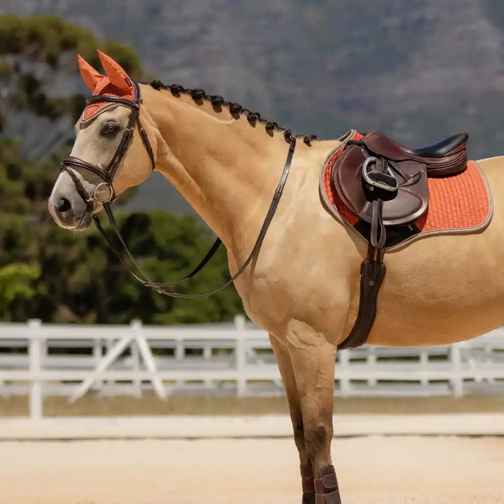 LeMieux Apricot Collection