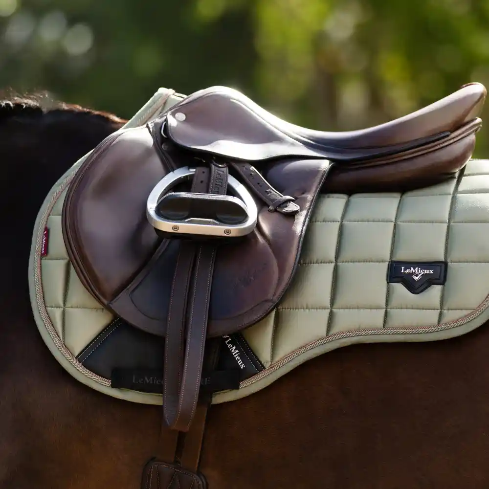 LeMieux Saddle Pad