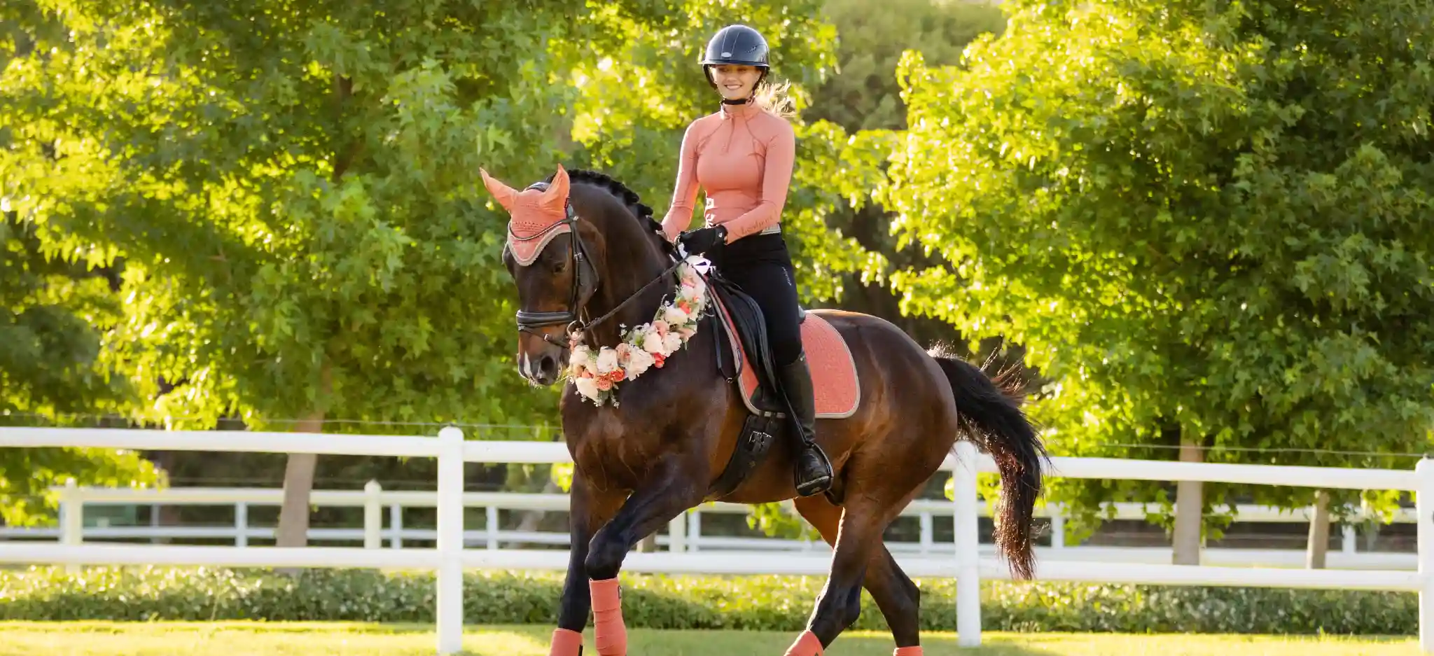 LeMieux Apricot Collection