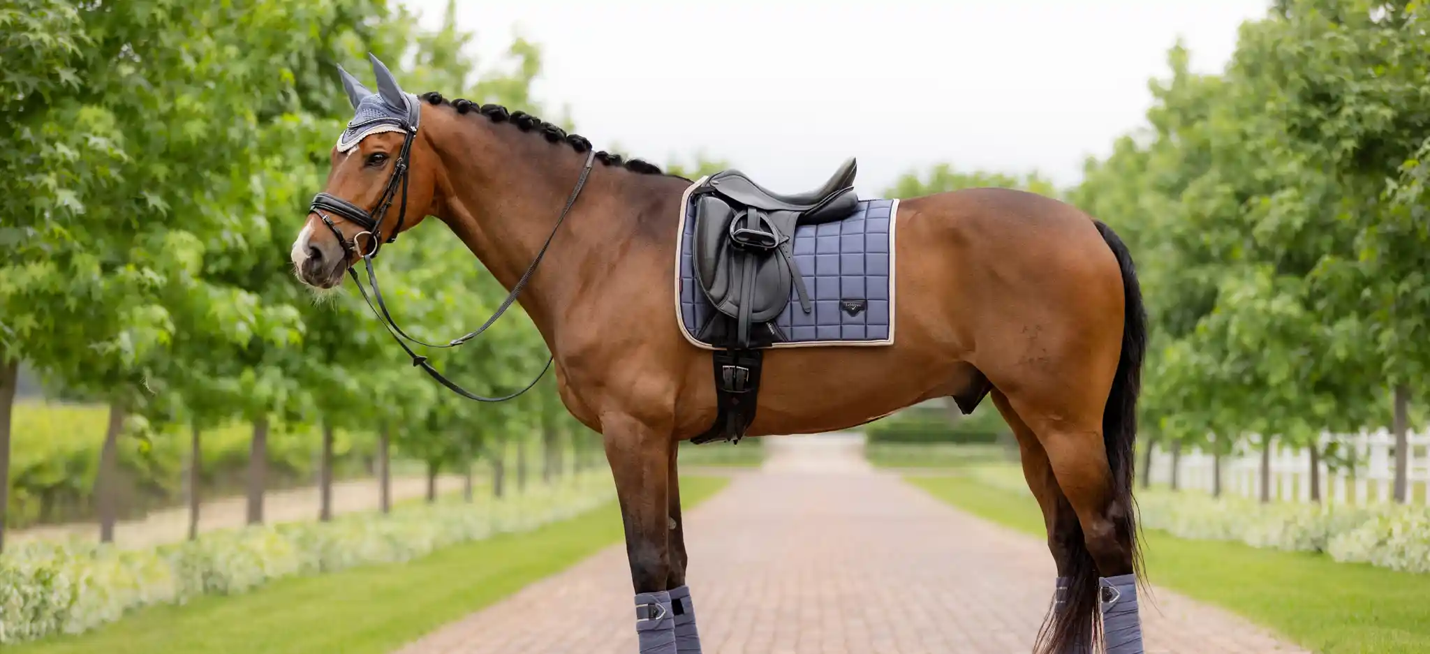 LeMieux Colour Collections