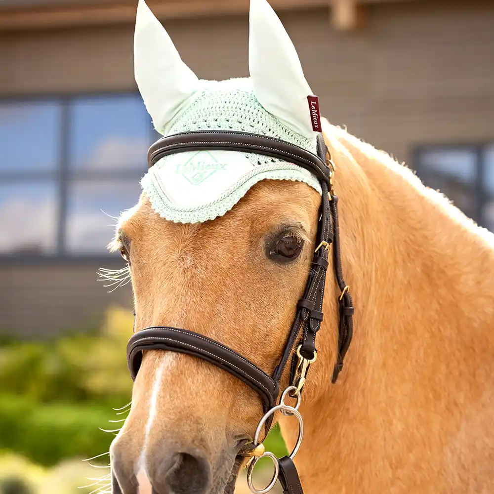 LeMieux x Harlow Collection