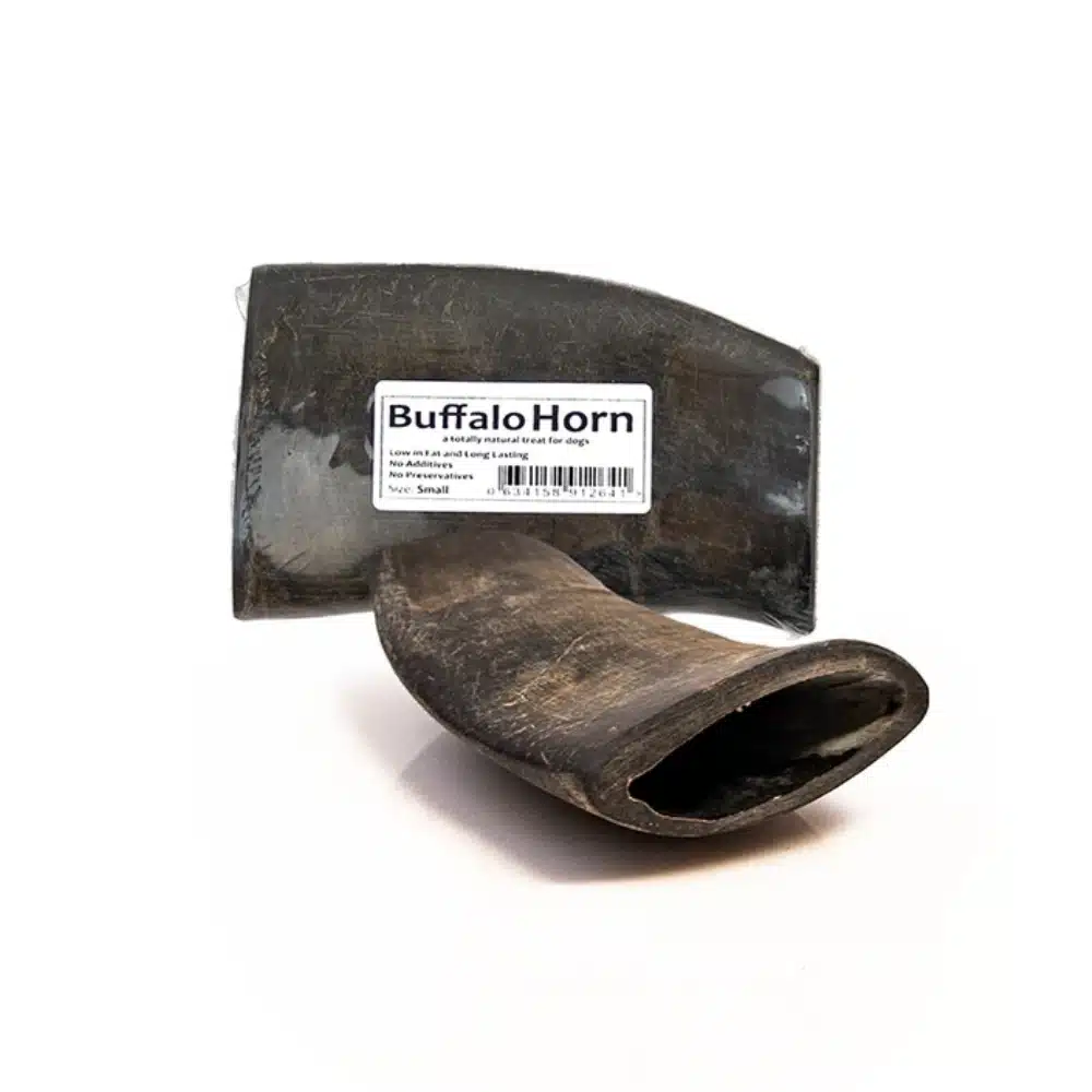 JR Buffalo Horn Dog Chew