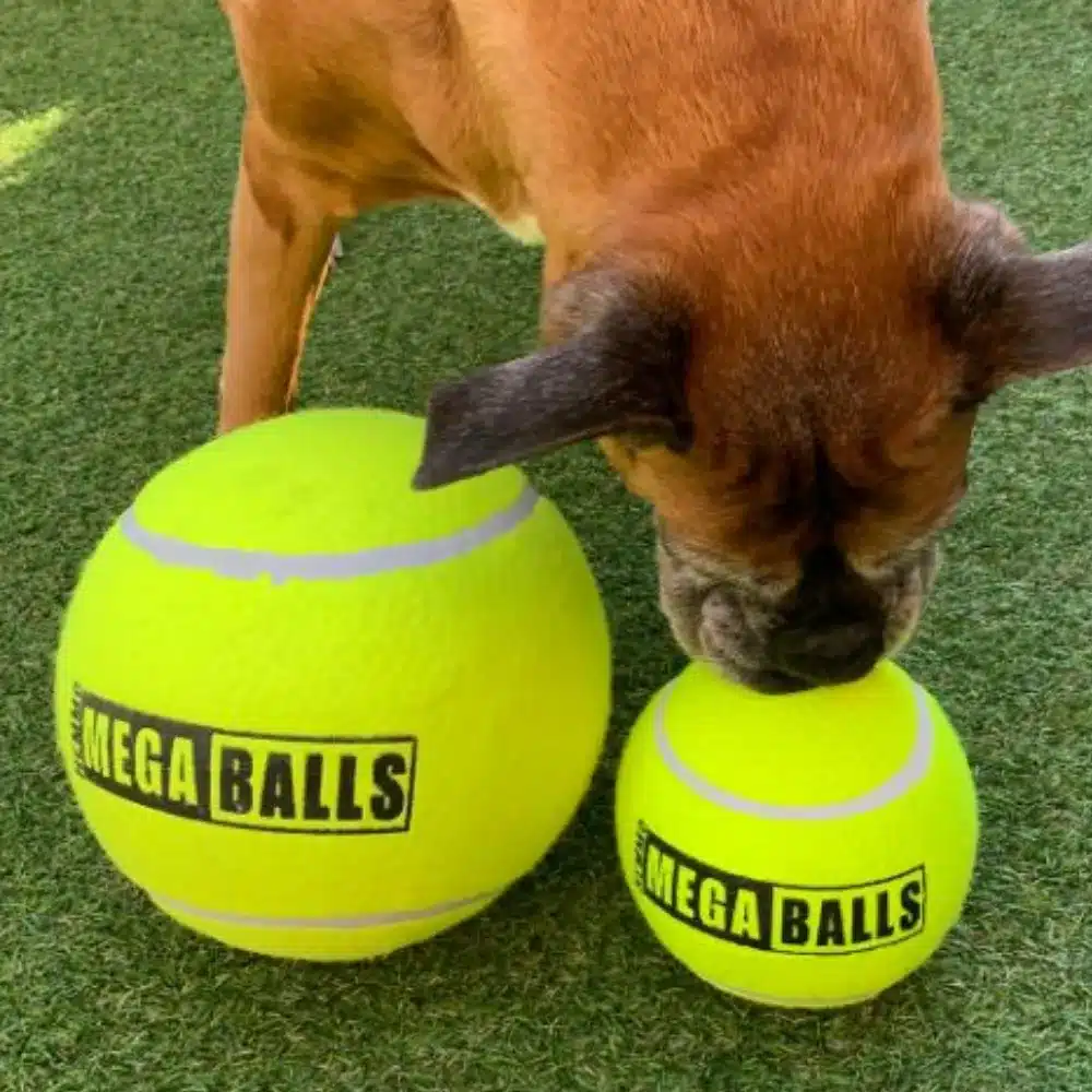 Hem & Boo Mega Ball Dog Toy