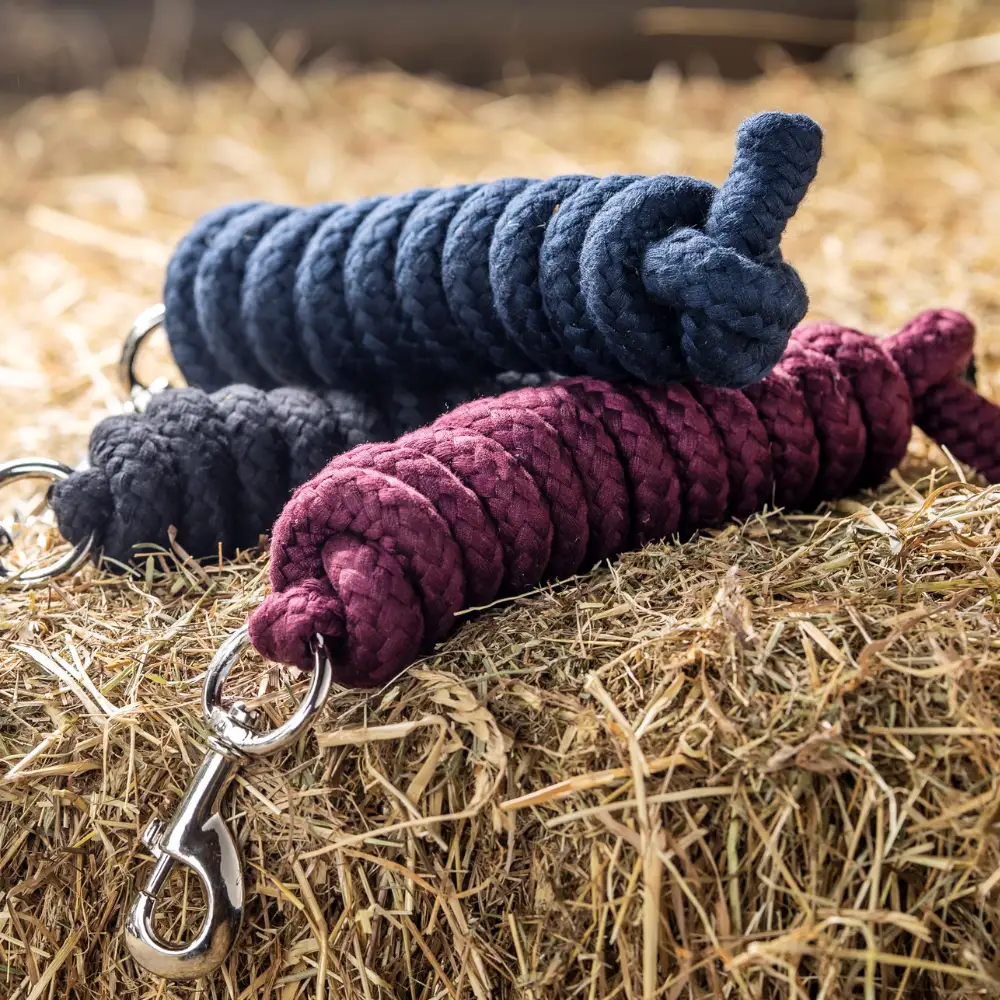 LeMieux Burgundy Collection