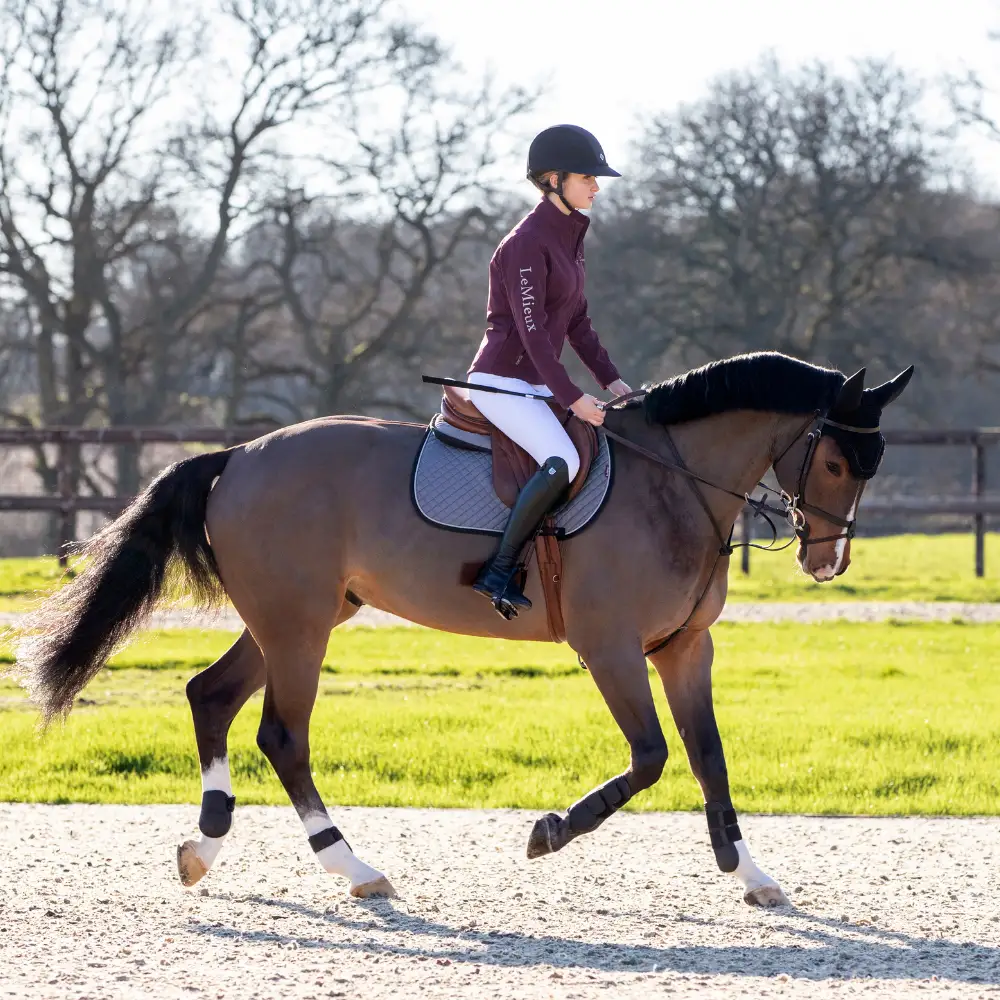 LeMieux Burgundy Collection