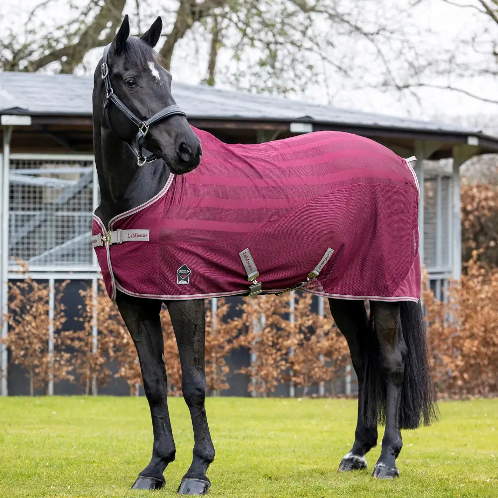 LeMieux Burgundy Collection