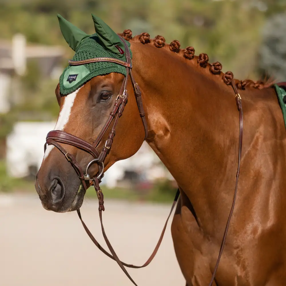 Hunter Green Horse