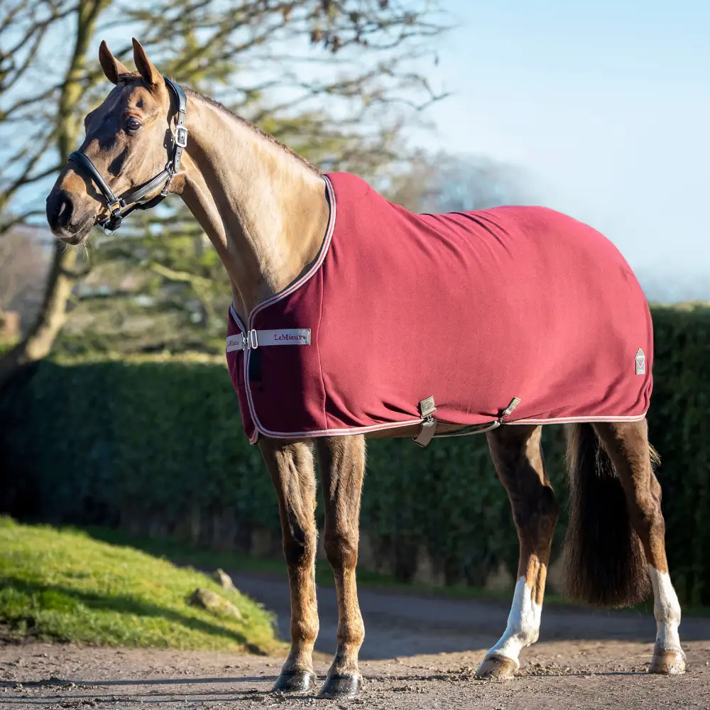 LeMieux Burgundy Collection