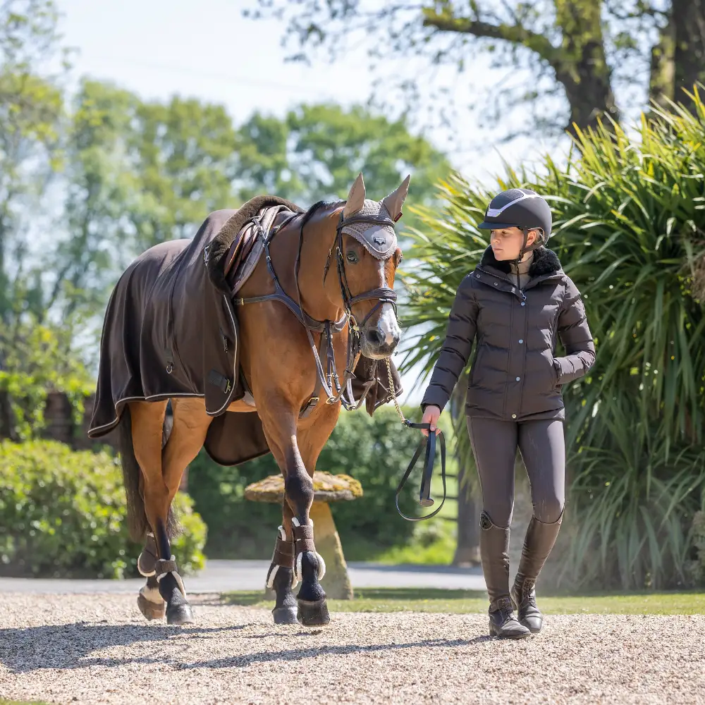 LeMieux Brown The Look