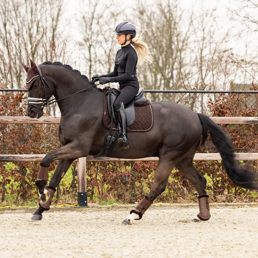 LeMieux Brown The Look