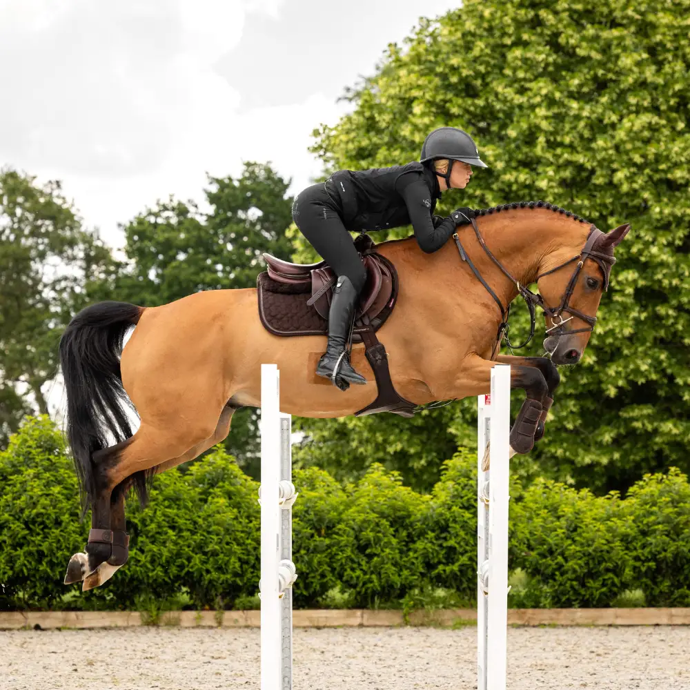 LeMieux Brown The Look