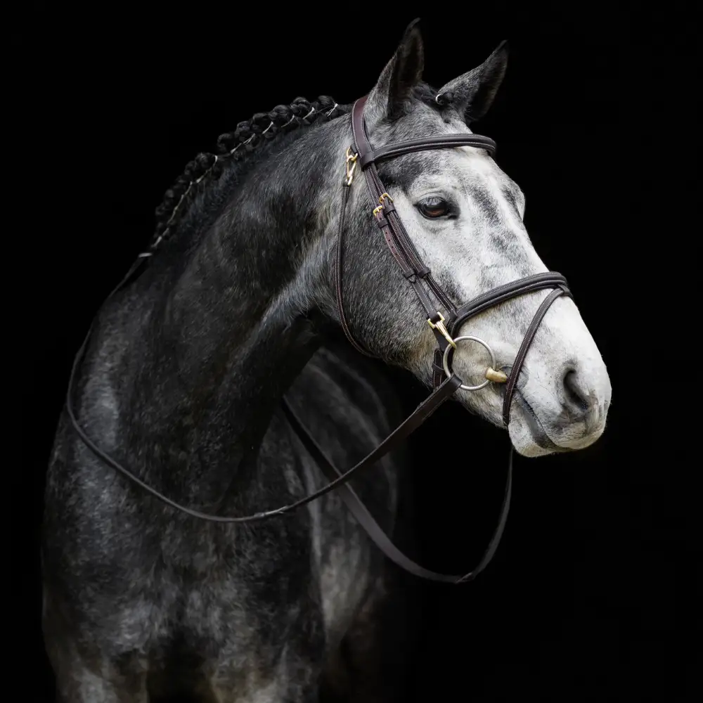 LeMieux Brown The Look