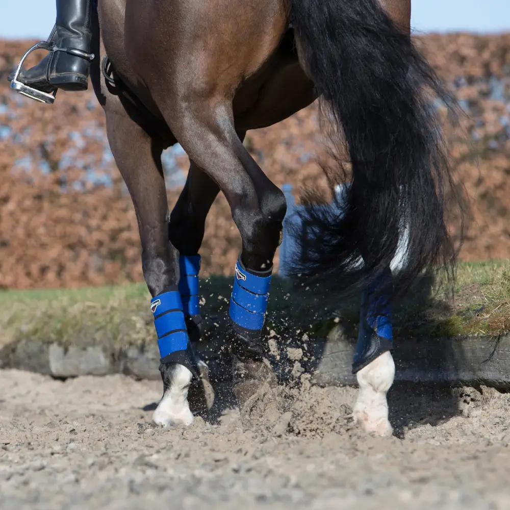 Benetton Blue The Look