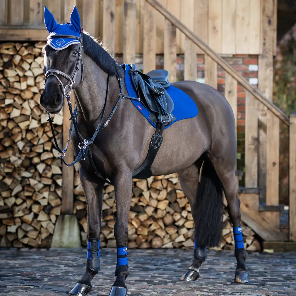 Benetton Blue The Look