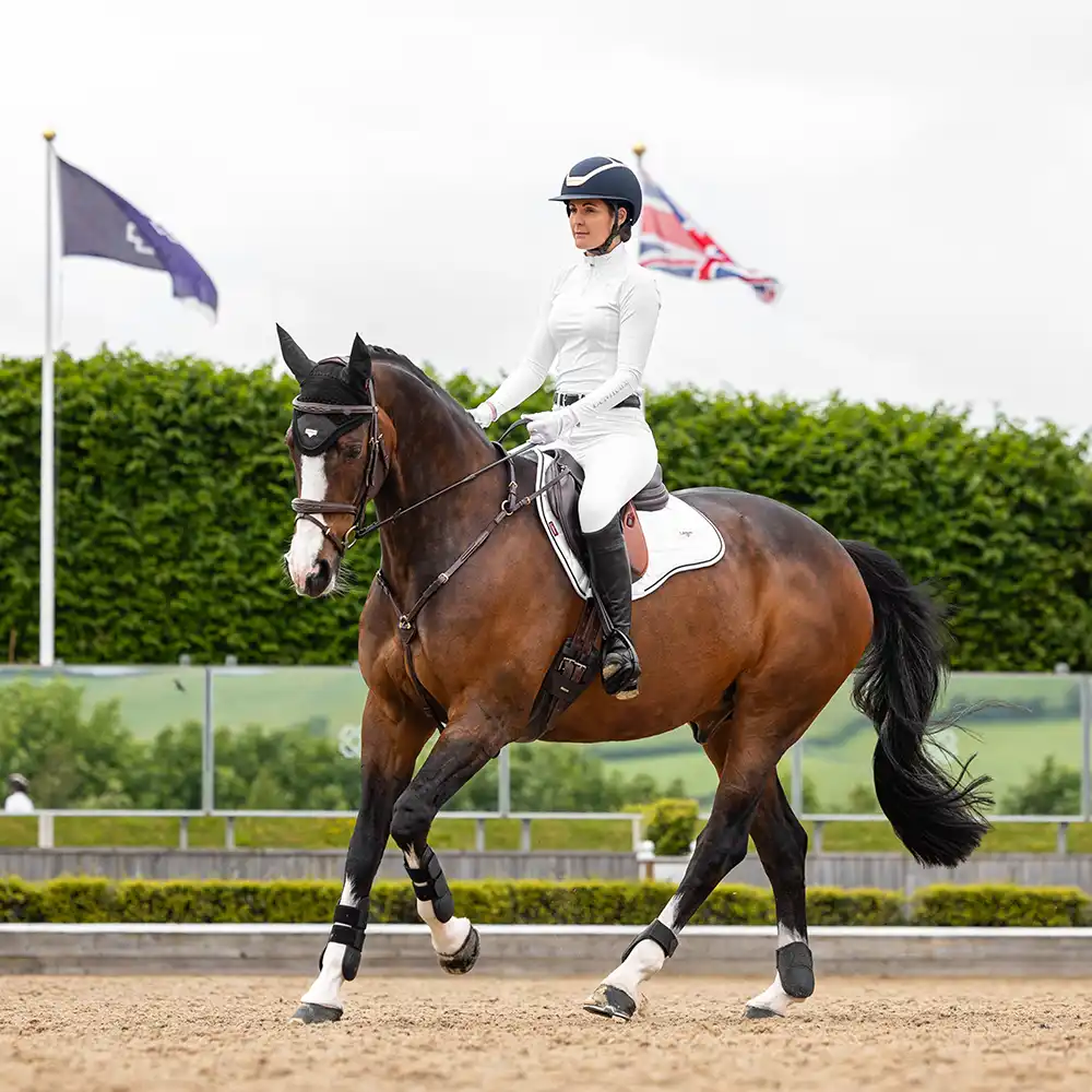 LeMieux White Collection & LeMieux Victoire Collection