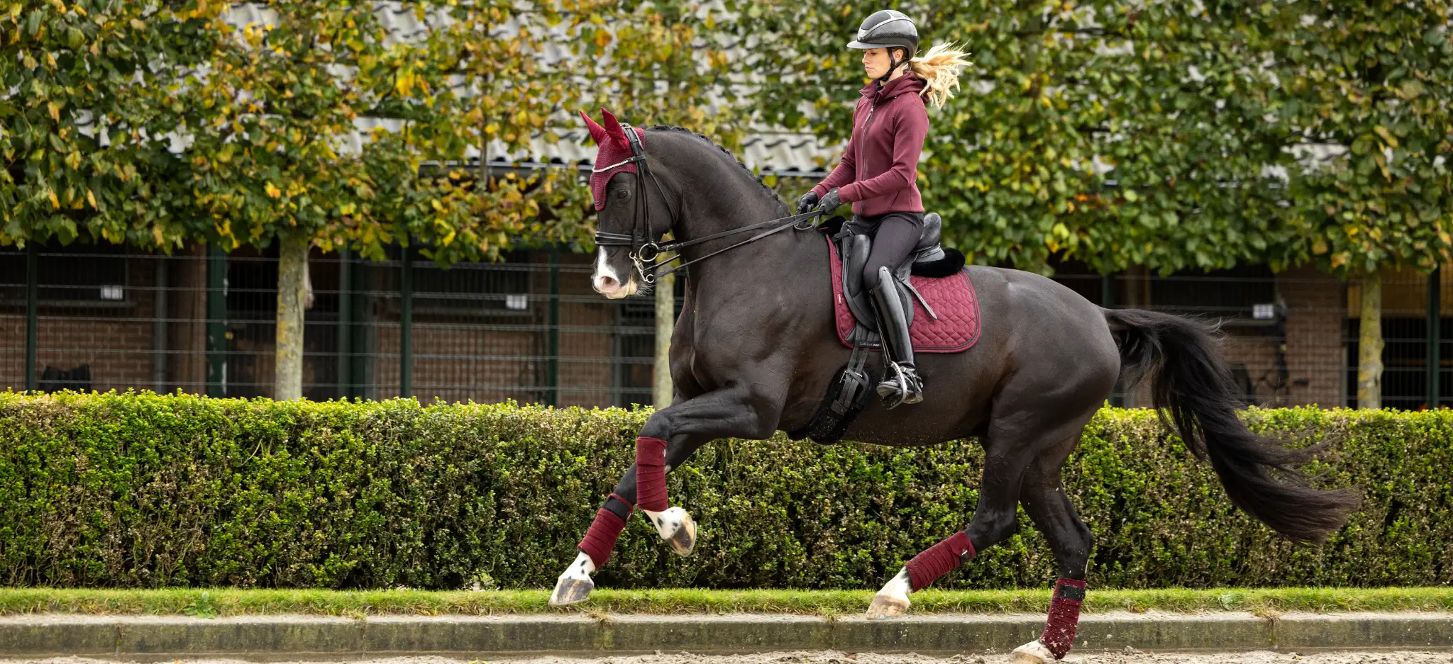 LeMieux Burgundy Collection
