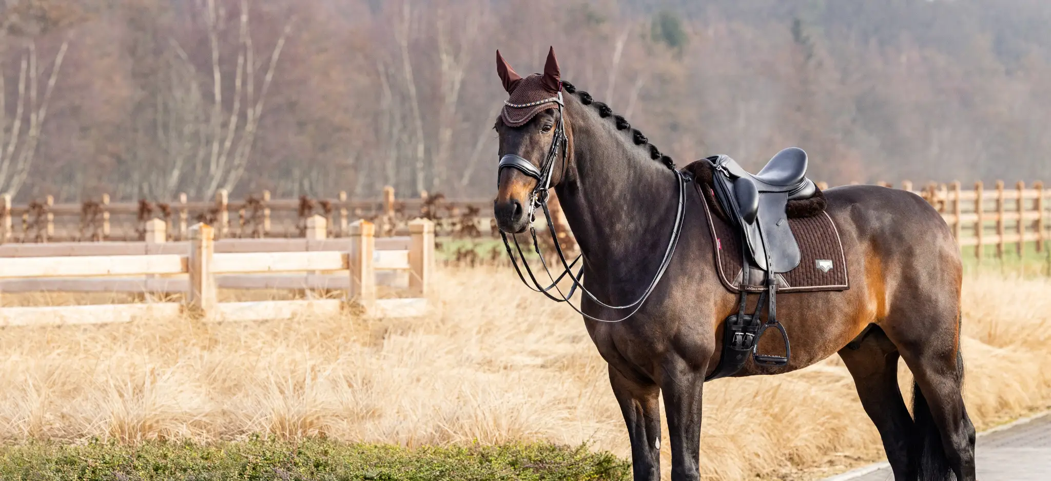 LeMieux Brown Slider