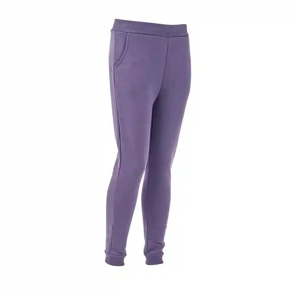 Shires Aubrion Young Rider Serene Joggers Purple