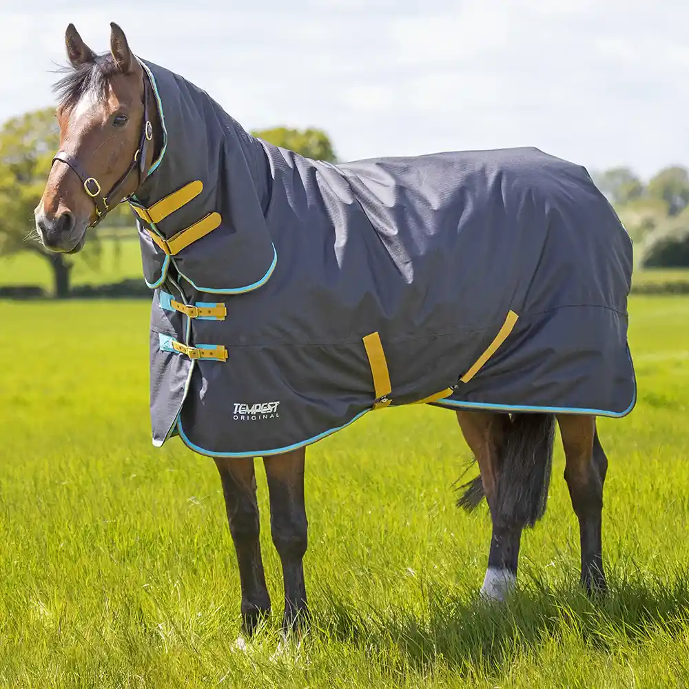 Shires Tempest Original 300 Turnout Combo Rug Black