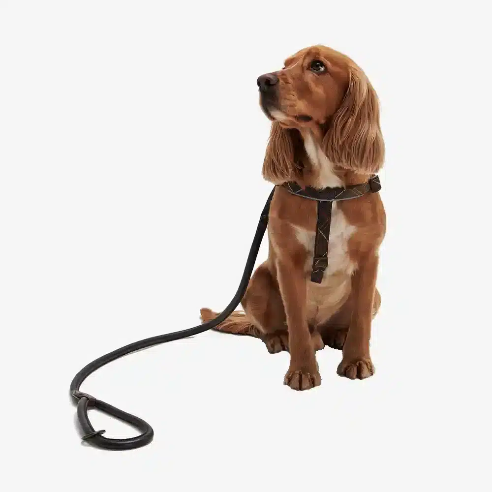 Barbour Leather Snap Dog Lead Dark Brown