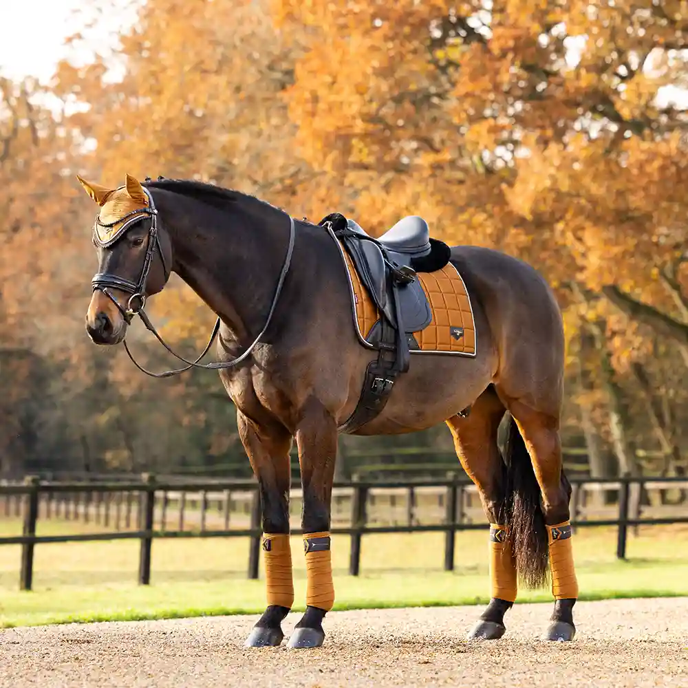 LeMieux Alpine & Ginger 3