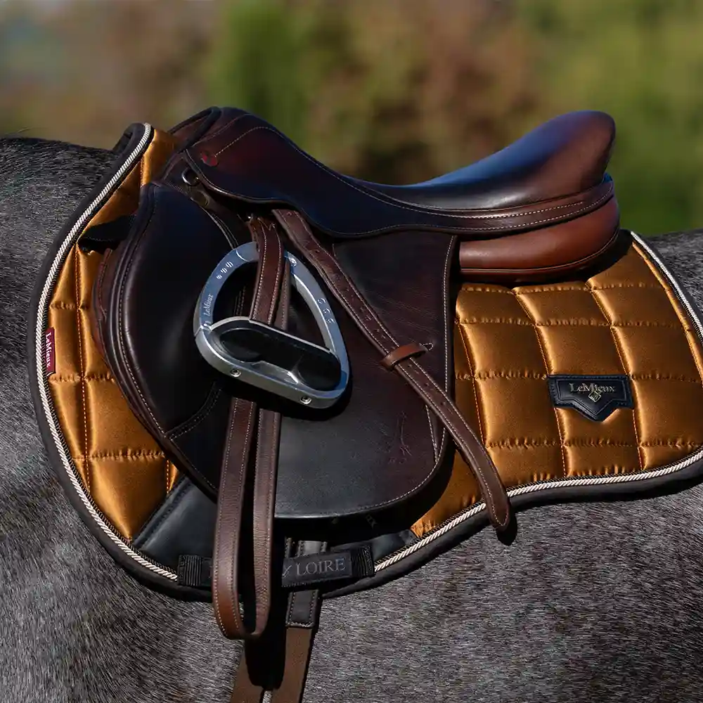 LeMieux Alpine & Ginger 4