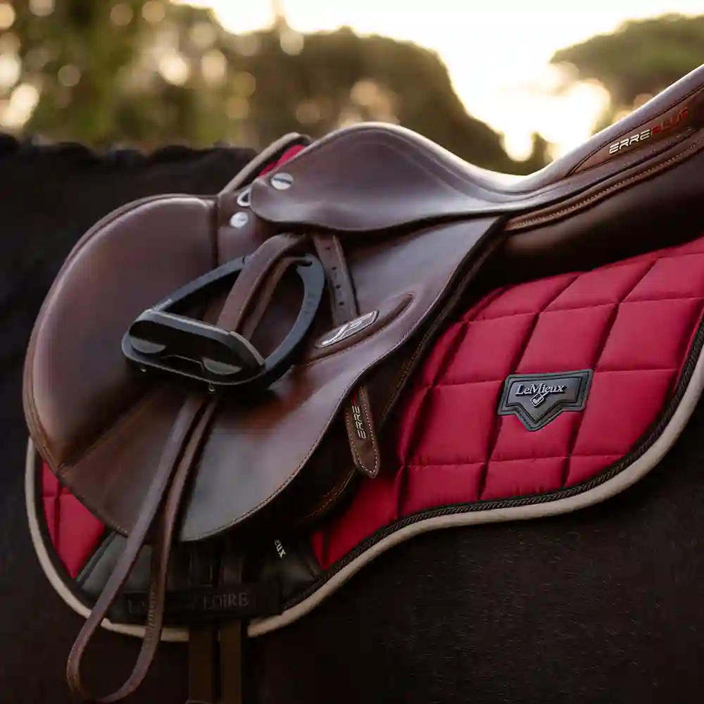 LeMieux Cinder & Ember 2