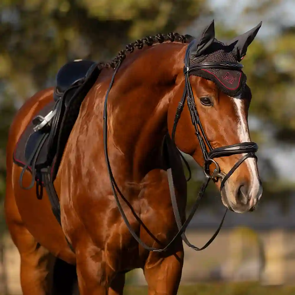 LeMieux Cinder & Ember 3