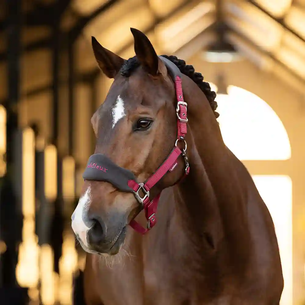 LeMieux Cinder & Ember 5