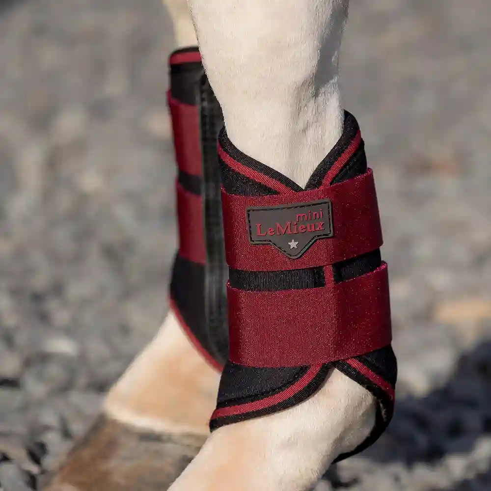 LeMieux Cinder & Ember 7