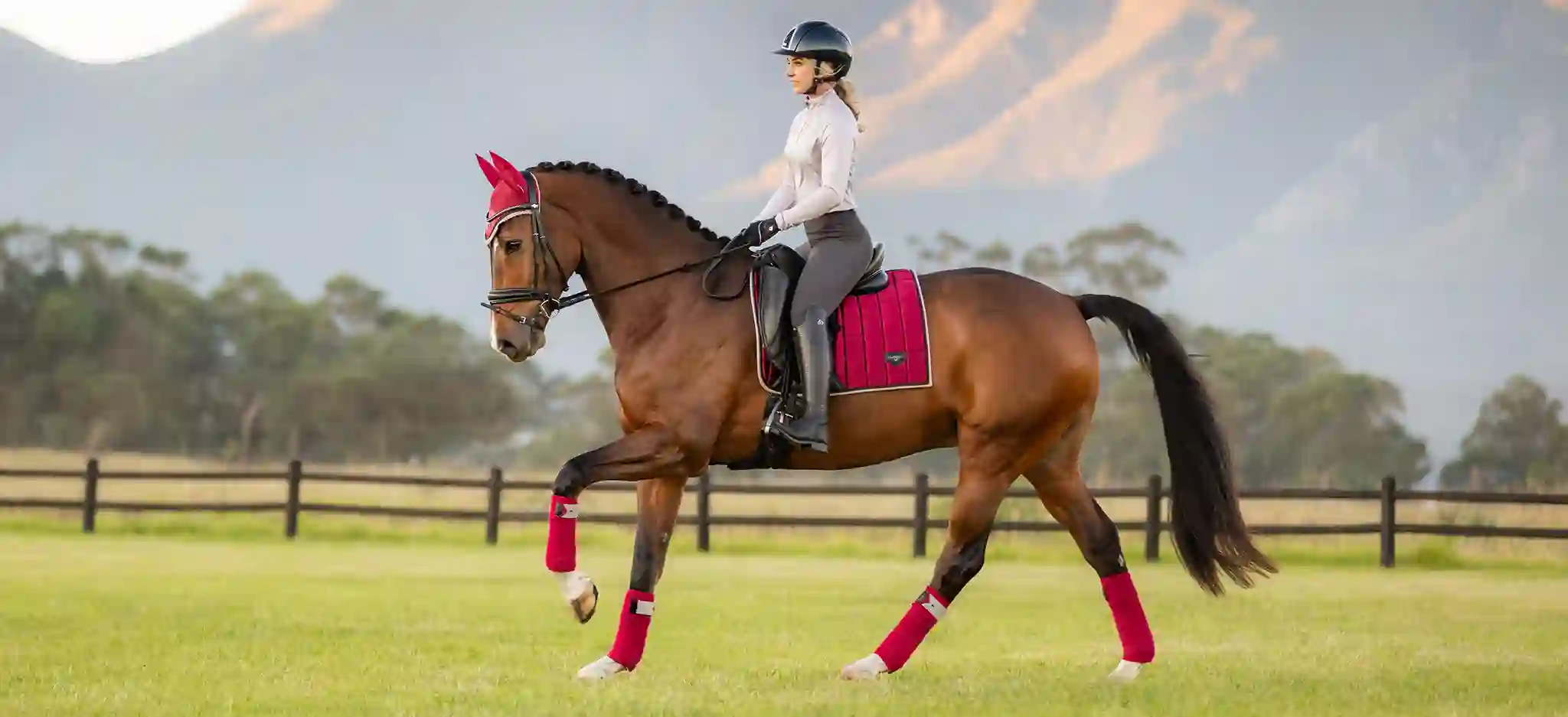 LeMieux Cinder & Ember Slider