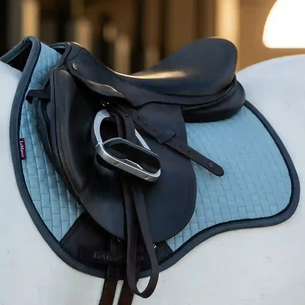 LeMieux Glacier & Petrol 1