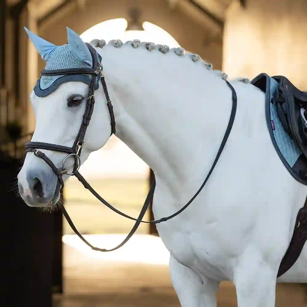 LeMieux Glacier & Petrol For the Horse