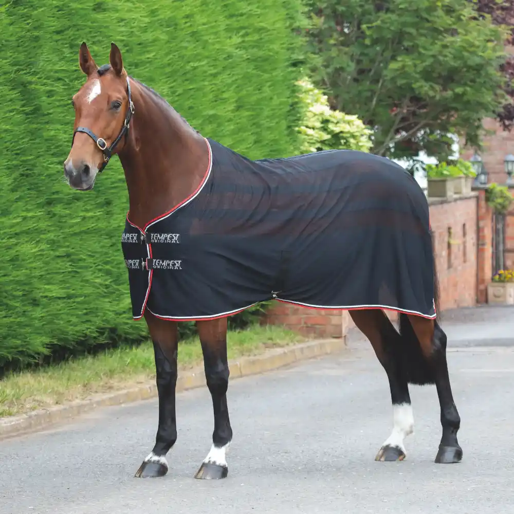 Shires Tempest Original Scrim Cooler Rug Charcoal