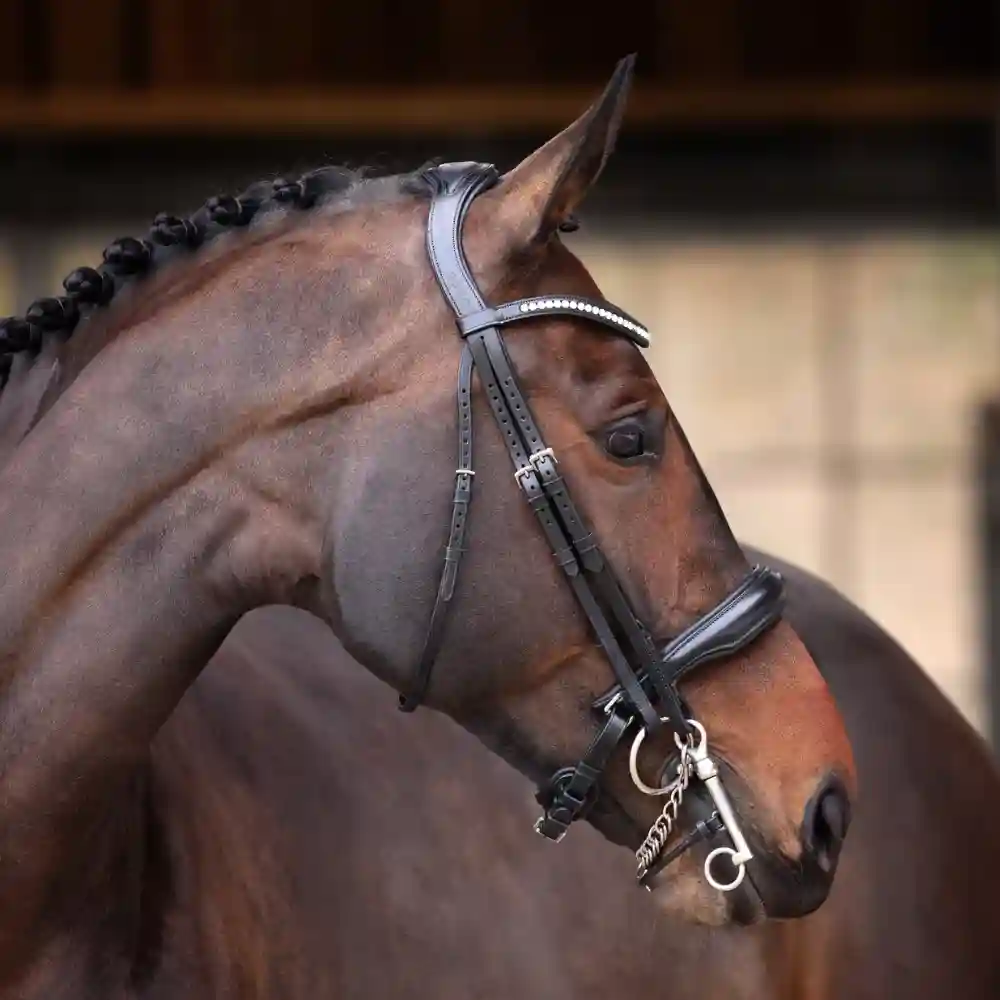 Shires Velociti Lusso Elite Double Bridle Black