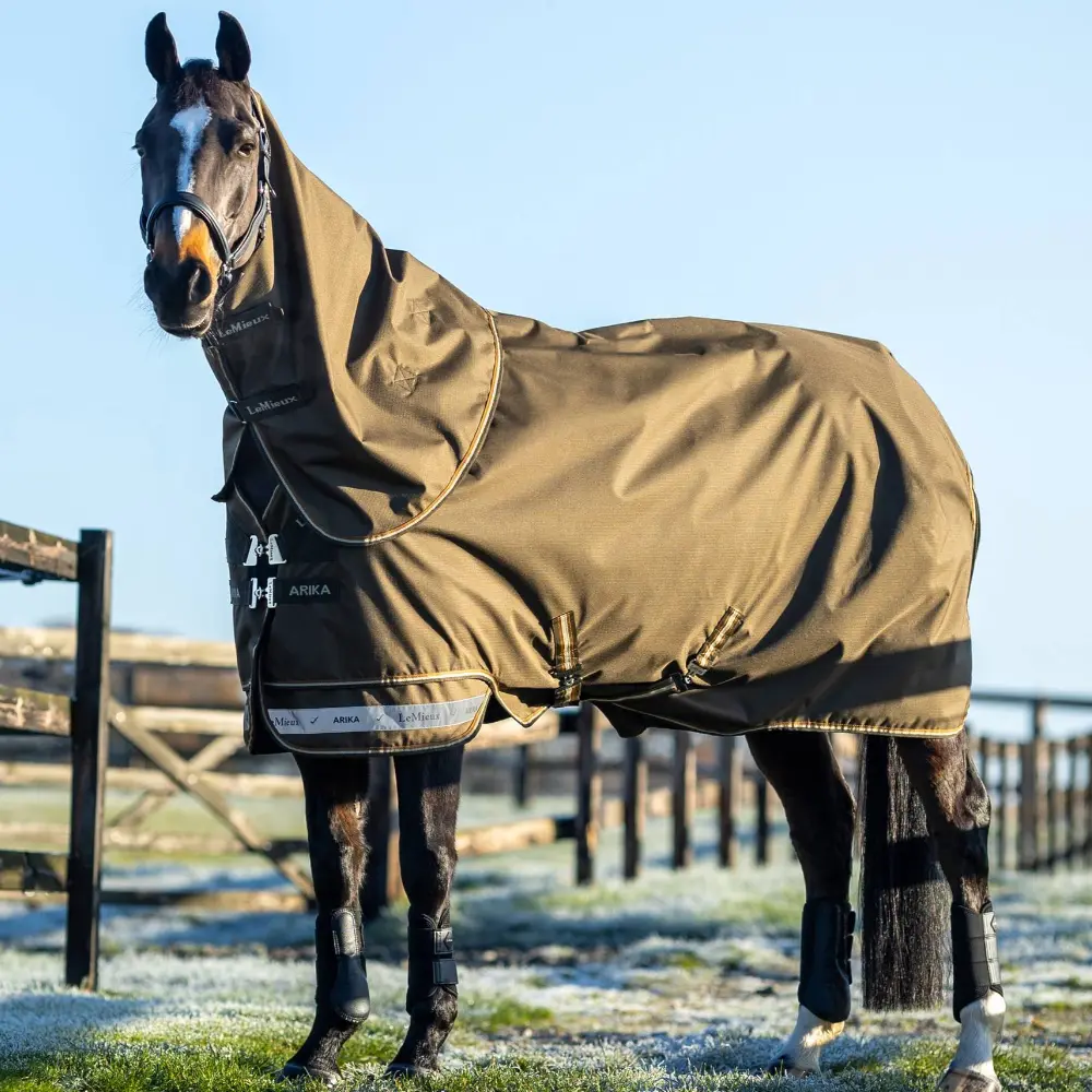 LeMieux Arika Ripstop 100g Turnout Rug Alpine