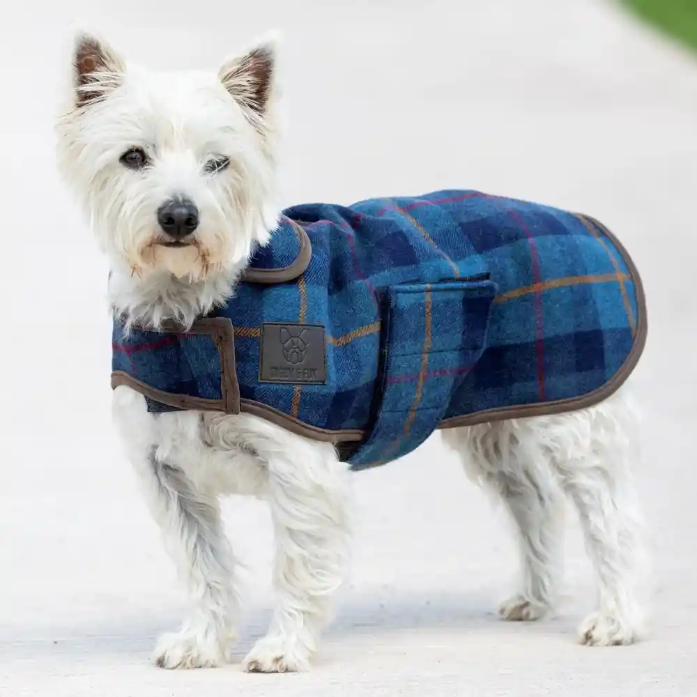 Digby & Fox Tweed Dog Coat Navy